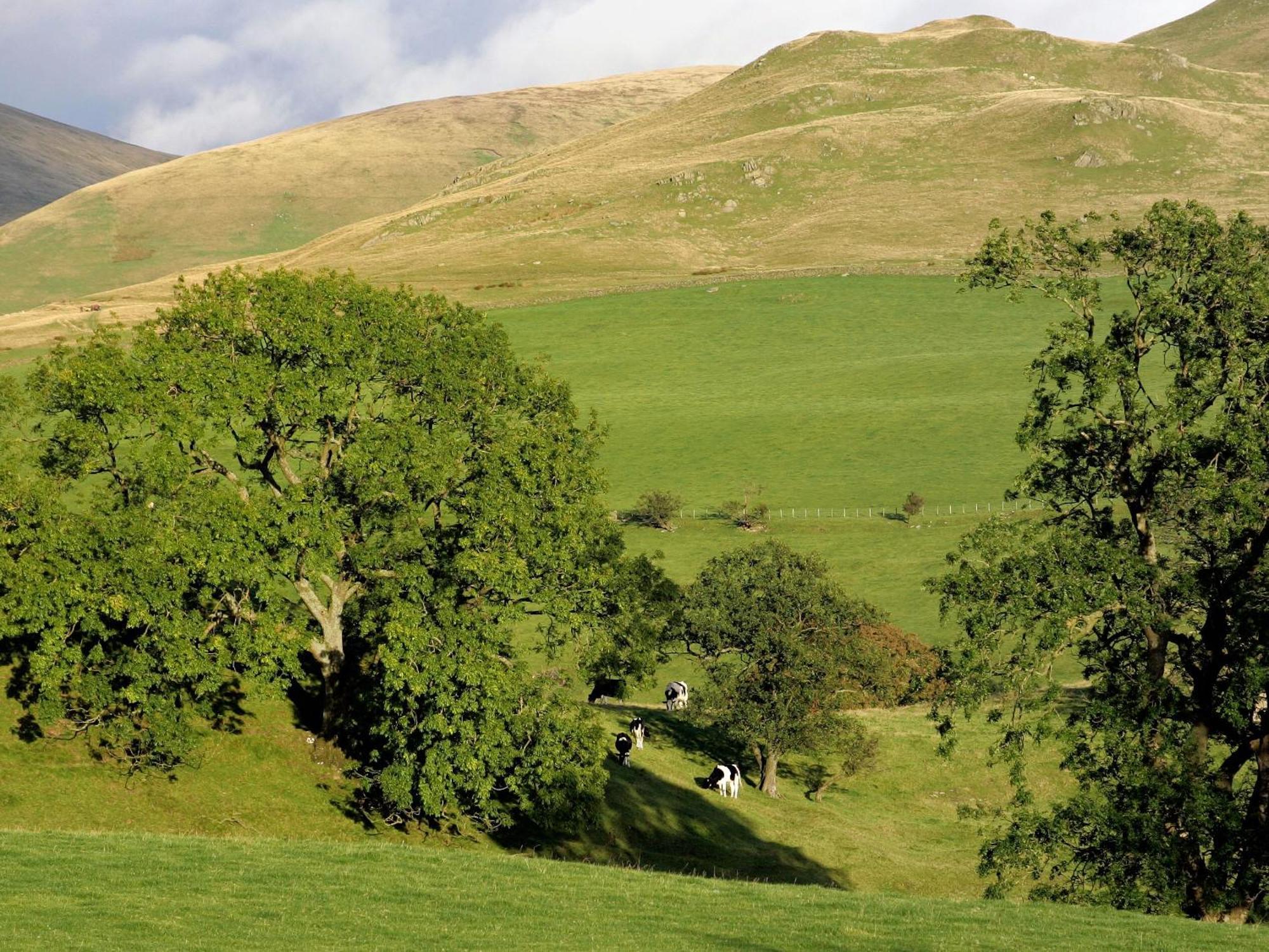 Gateside Farmhouse Sedbergh Exteriér fotografie
